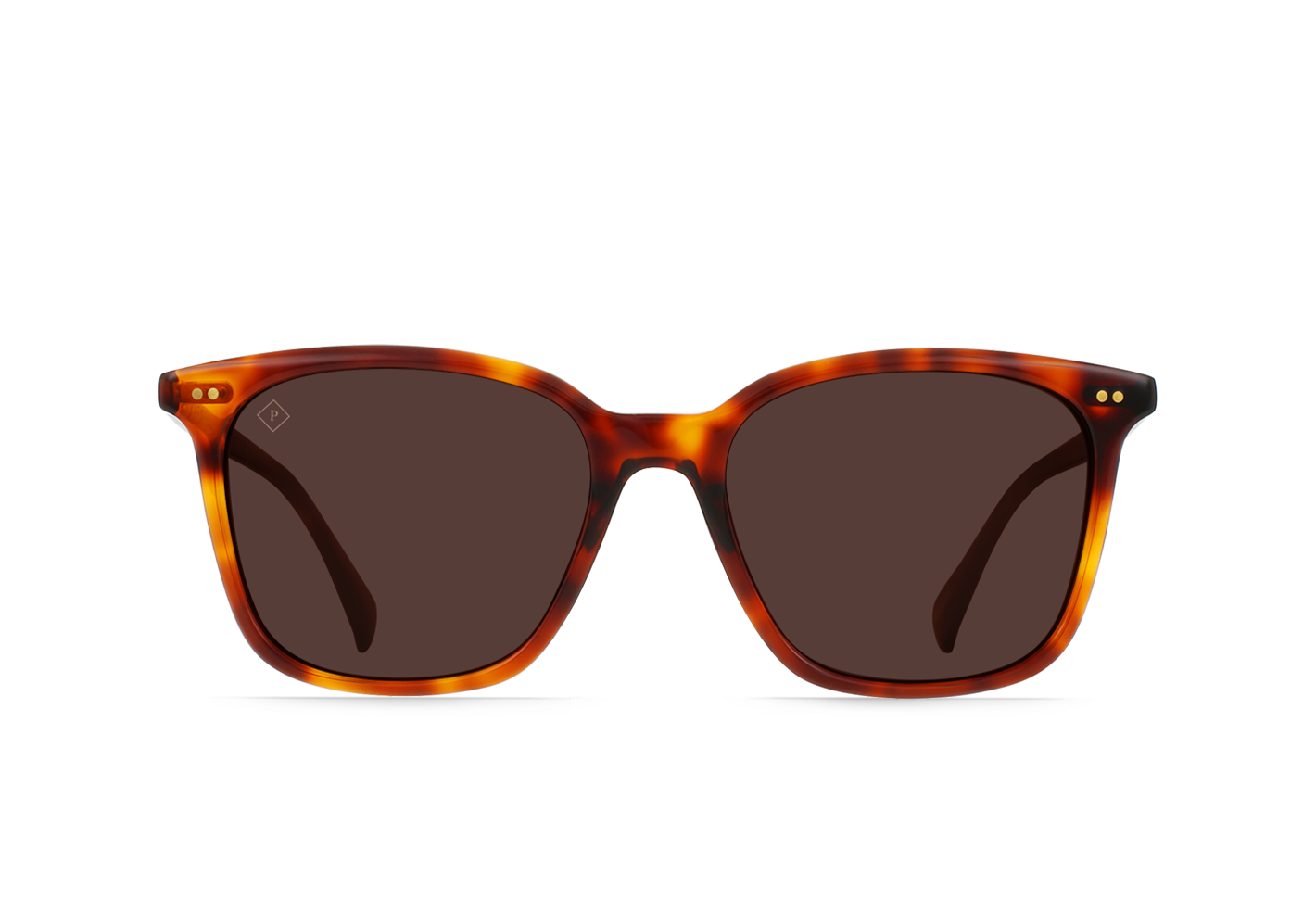 RAEN Darine-Golden Daze Tortoise / Drift Polarized-55
