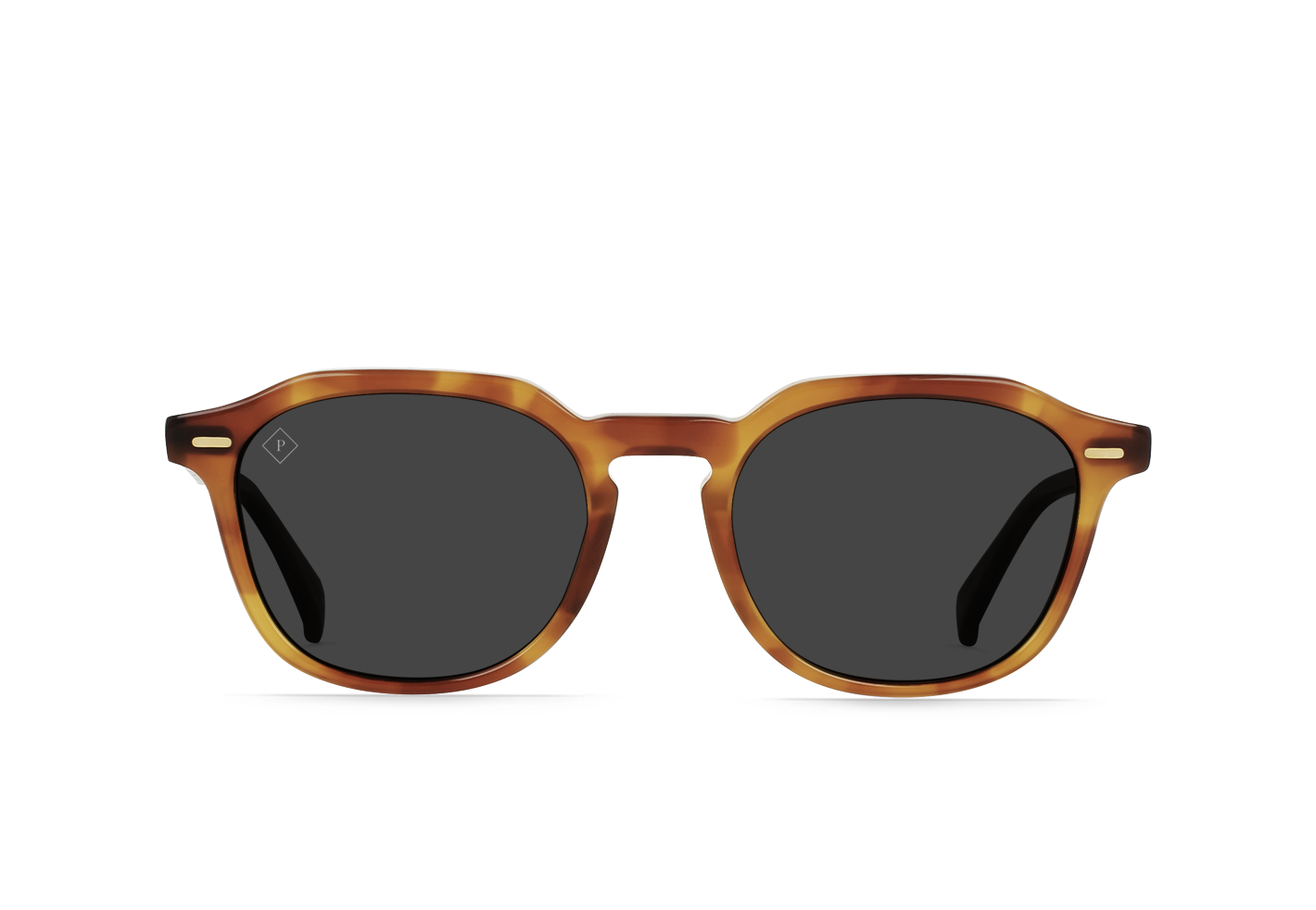 RAEN Clyve-Santa Fe / Smoke Polarized-52