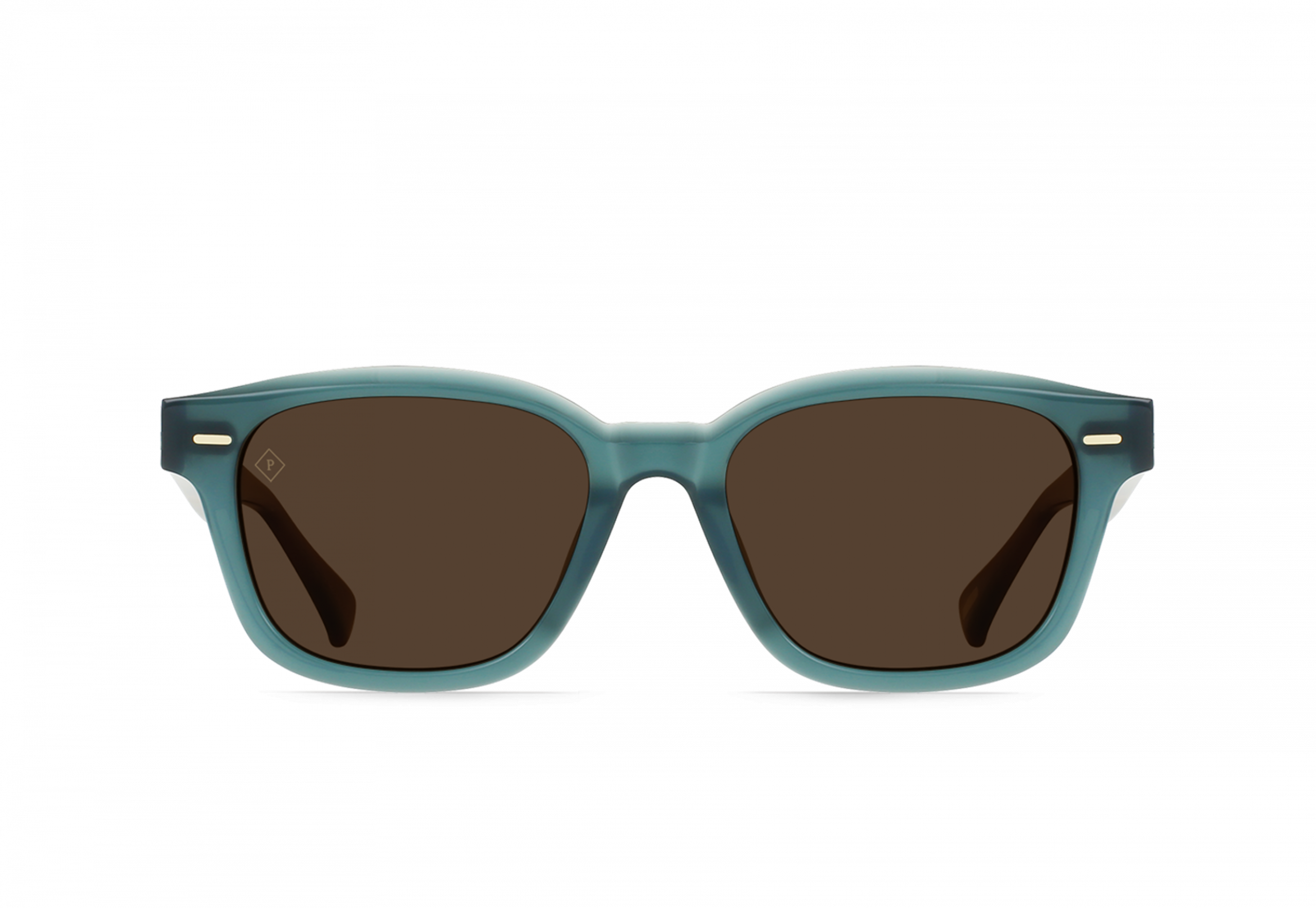 RAEN CARBY-Cirus / Vibrant Brown Polarized-53