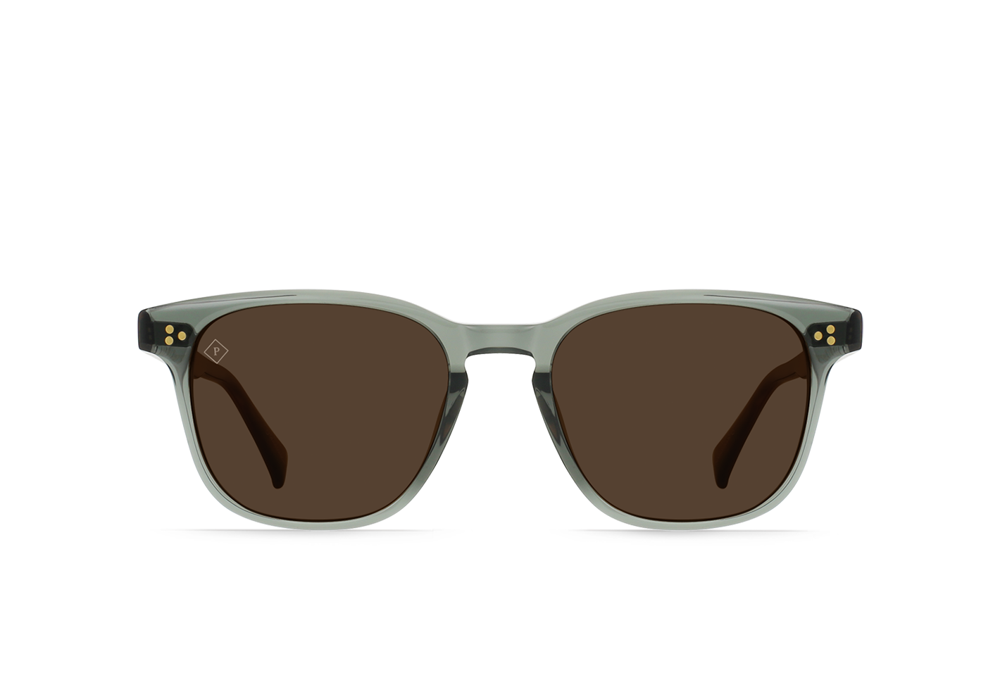 RAEN Alvez-Pinyon Grove / Vibrant Brown Polarized-50