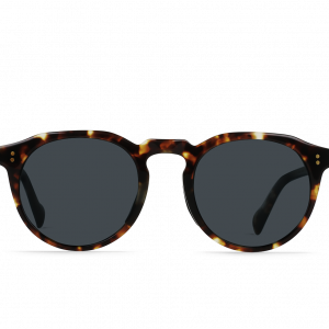 RAEN Remmy REC°-Brindle Tortoise / Terra Polarized-49
