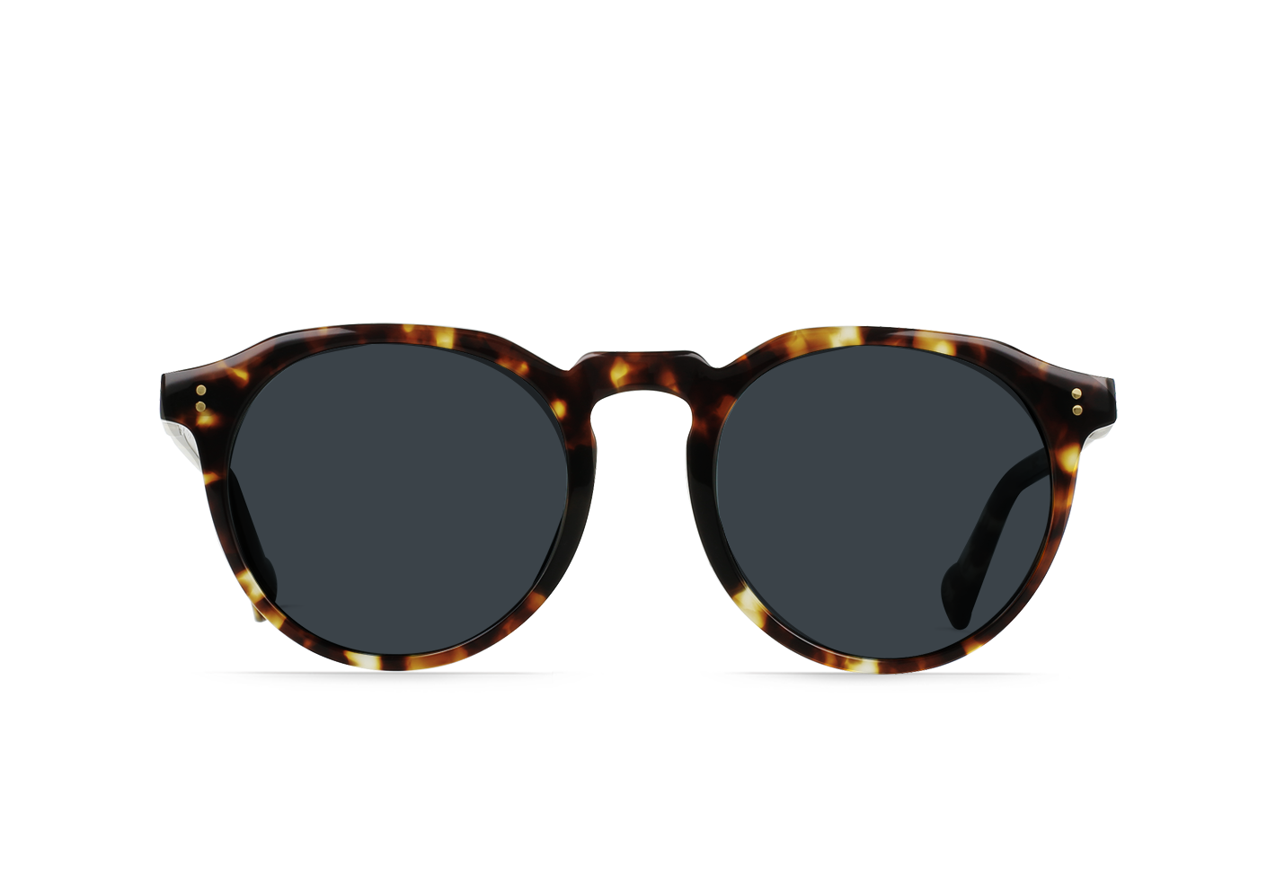 RAEN Remmy REC°-Brindle Tortoise / Terra Polarized-52