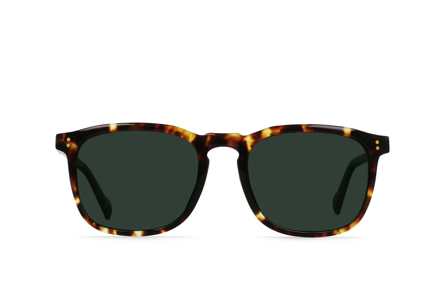 RAEN Wiley REC°-Brindle Tortoise / Vector Polarized-54