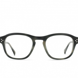 RAEN Lavoy-Charcoal Tortoise / Clear-49