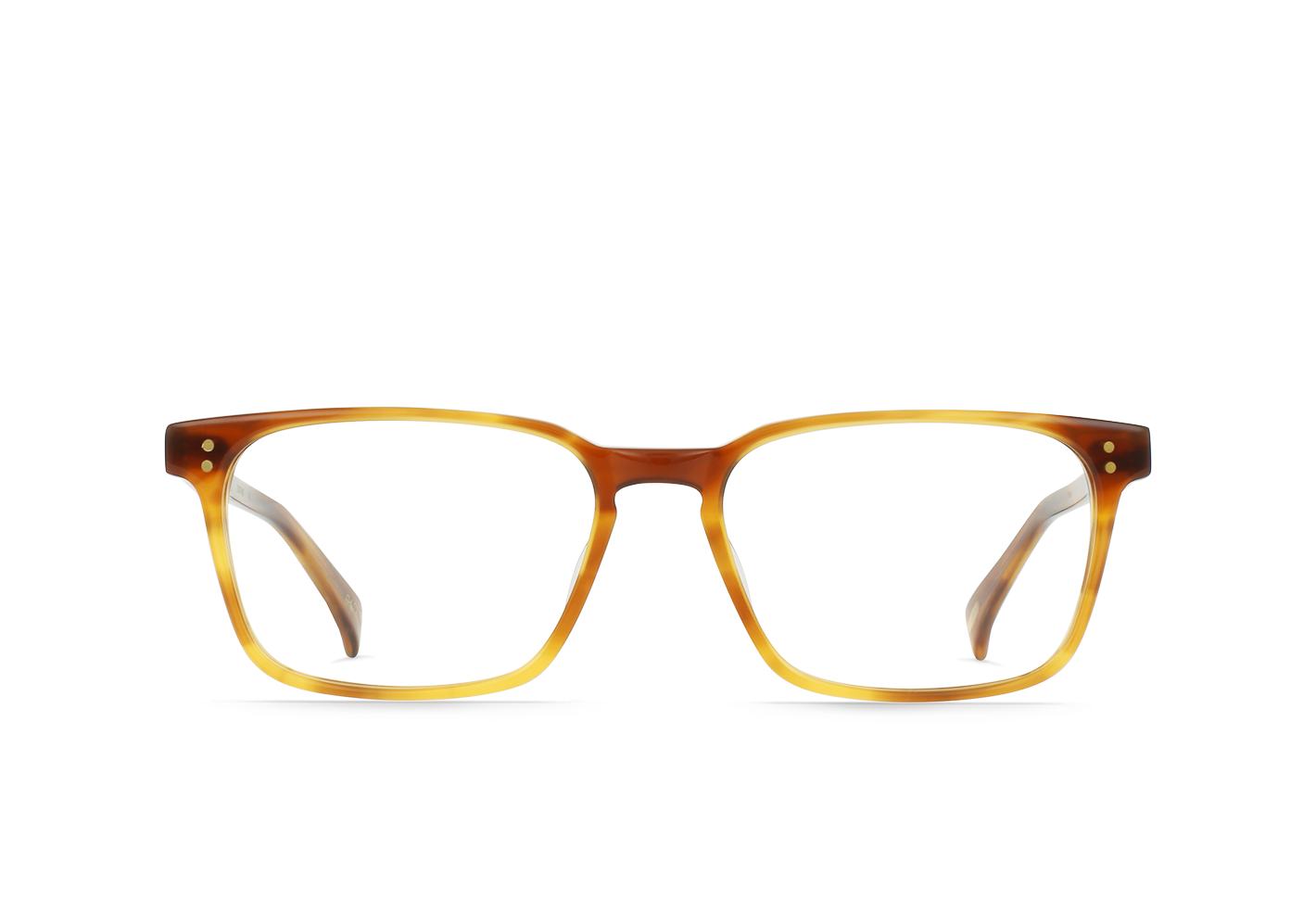 RAEN Nolan-Santa Fe Tortoise / Clear-55