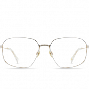RAEN Dalvin-Silver & Classic Gold / Clear-55