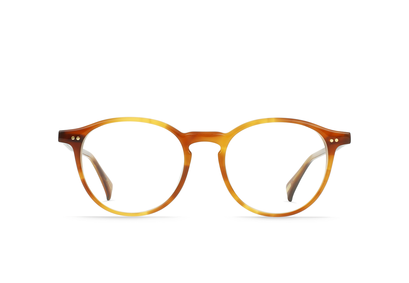 RAEN Nevill-Santa Fe Tortoise / Clear-50