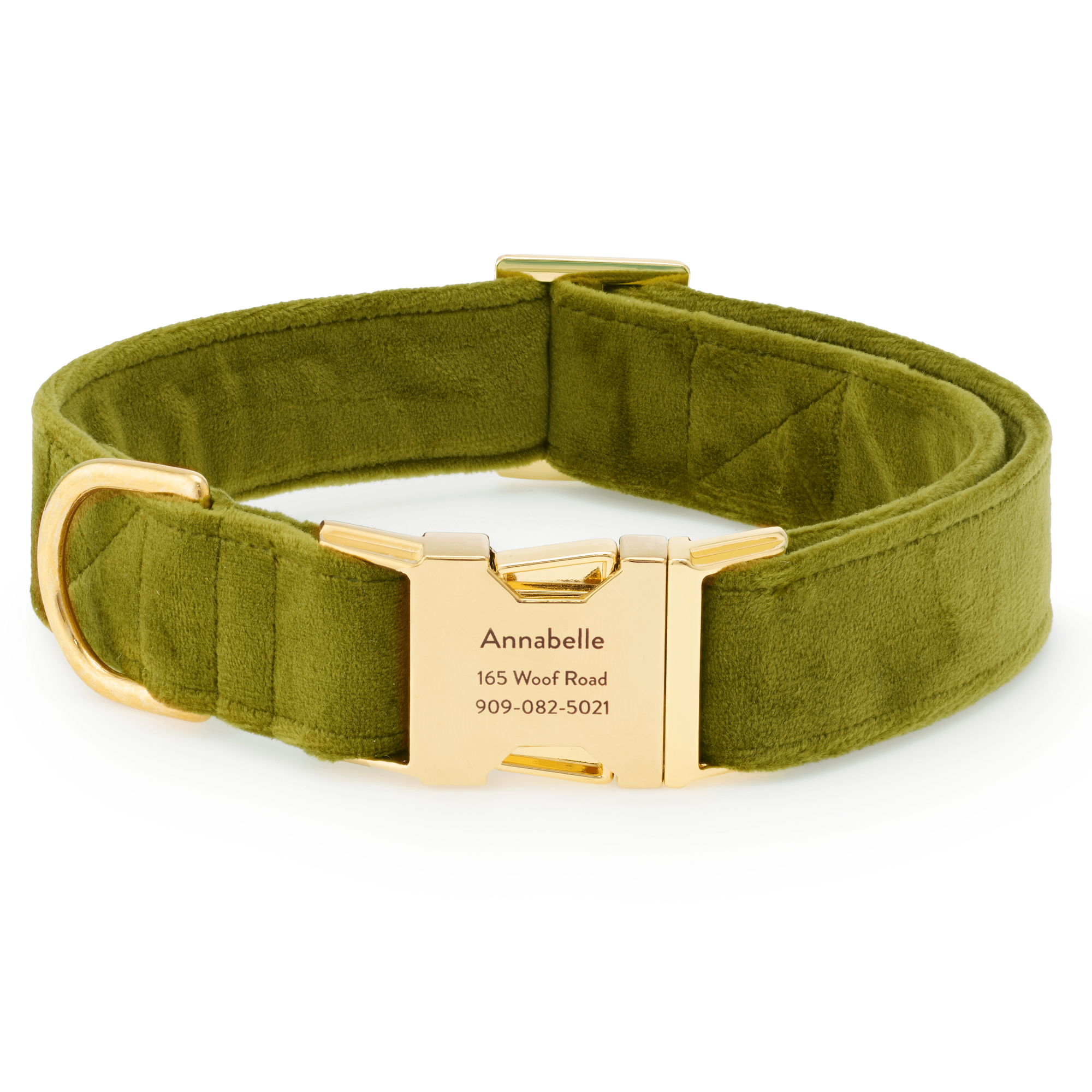 The Foggy Dog Moss Velvet Dog Collar