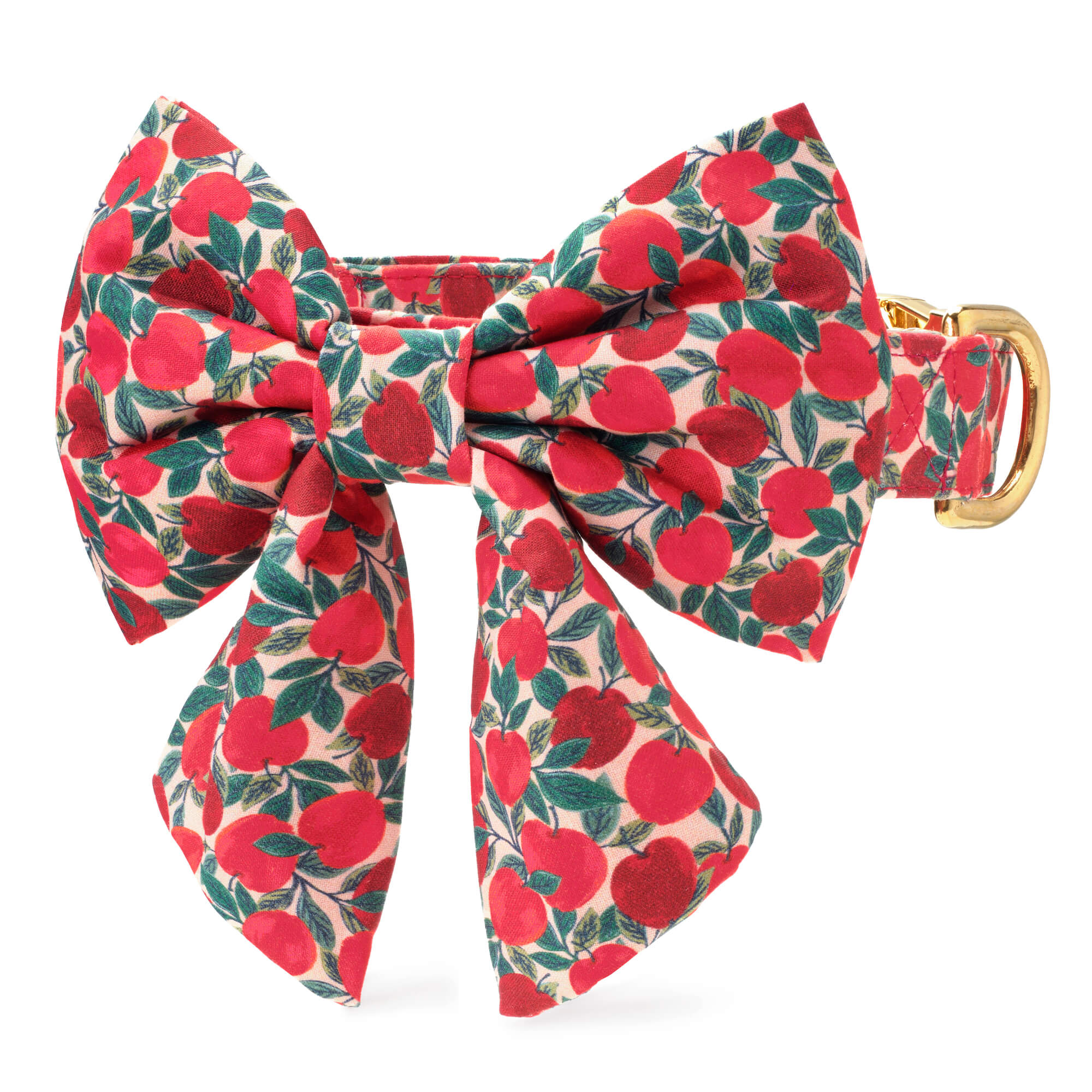 The Foggy Dog Apple of My Eye Lady Bow Collar