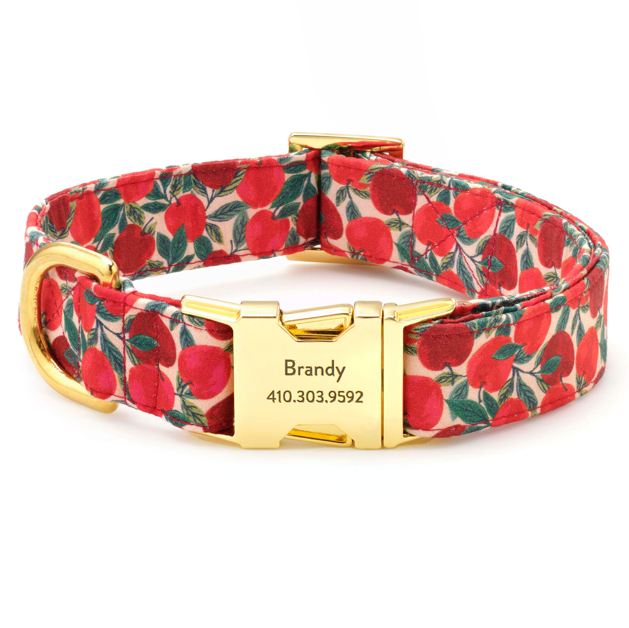 The Foggy Dog Apple of My Eye Dog Collar