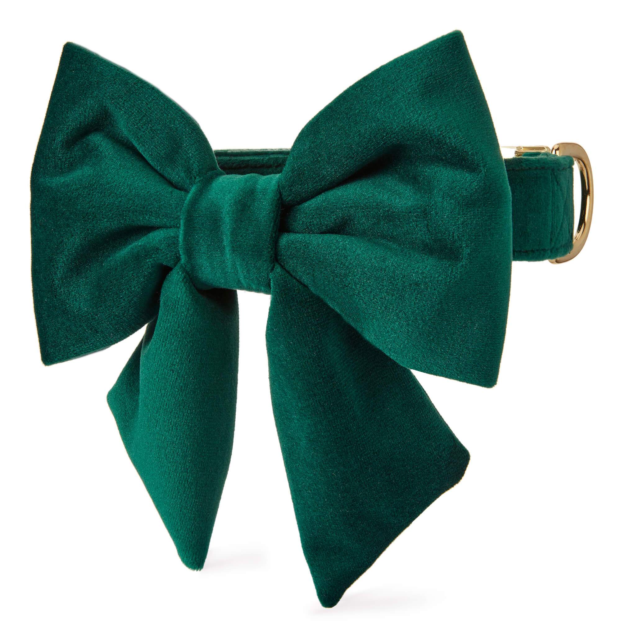 The Foggy Dog Forest Green Velvet Lady Bow Collar