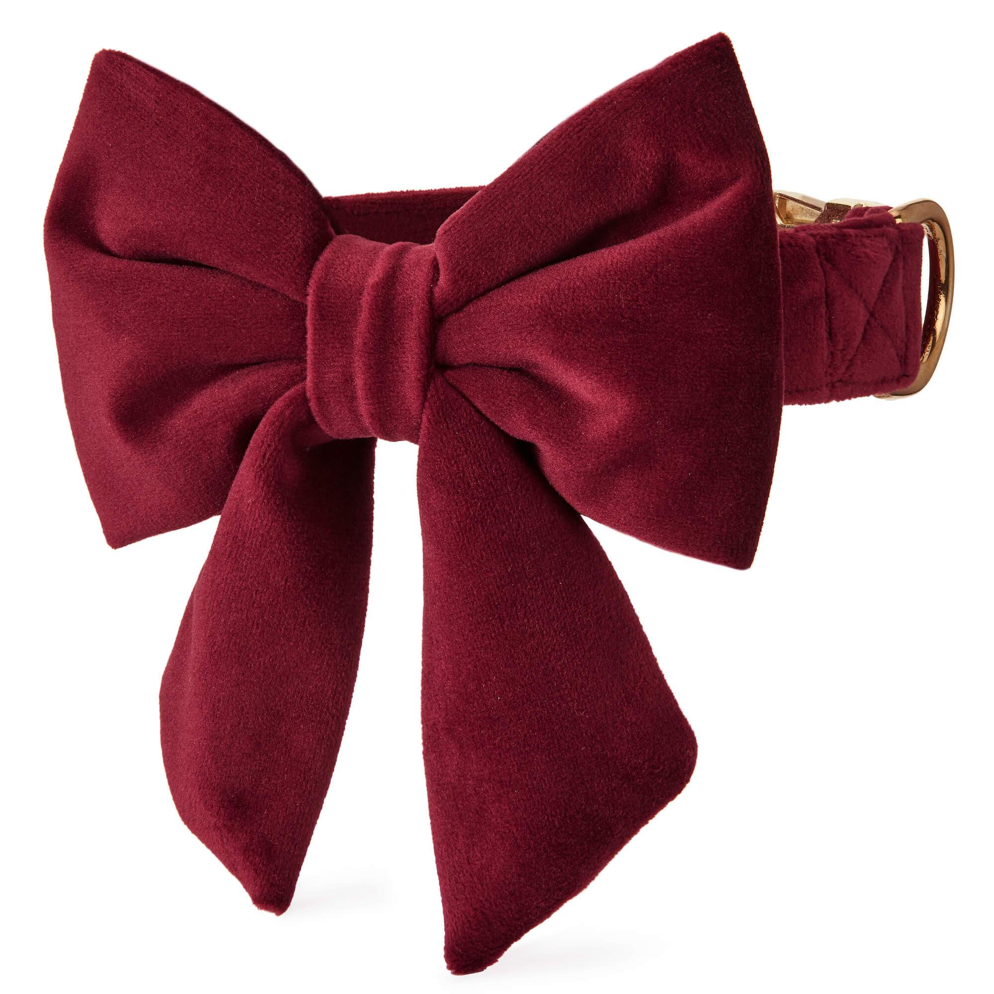 The Foggy Dog Burgundy Velvet Lady Bow Collar