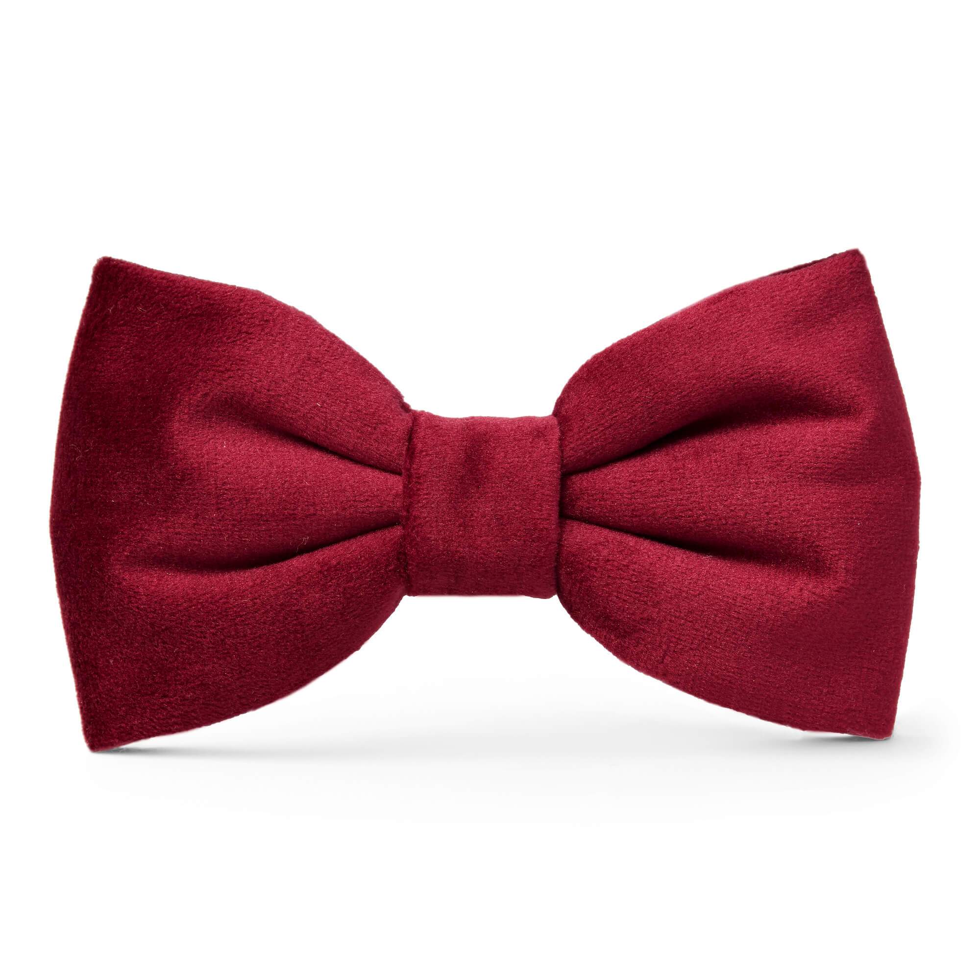 The Foggy Dog Burgundy Velvet Dog Bow Tie