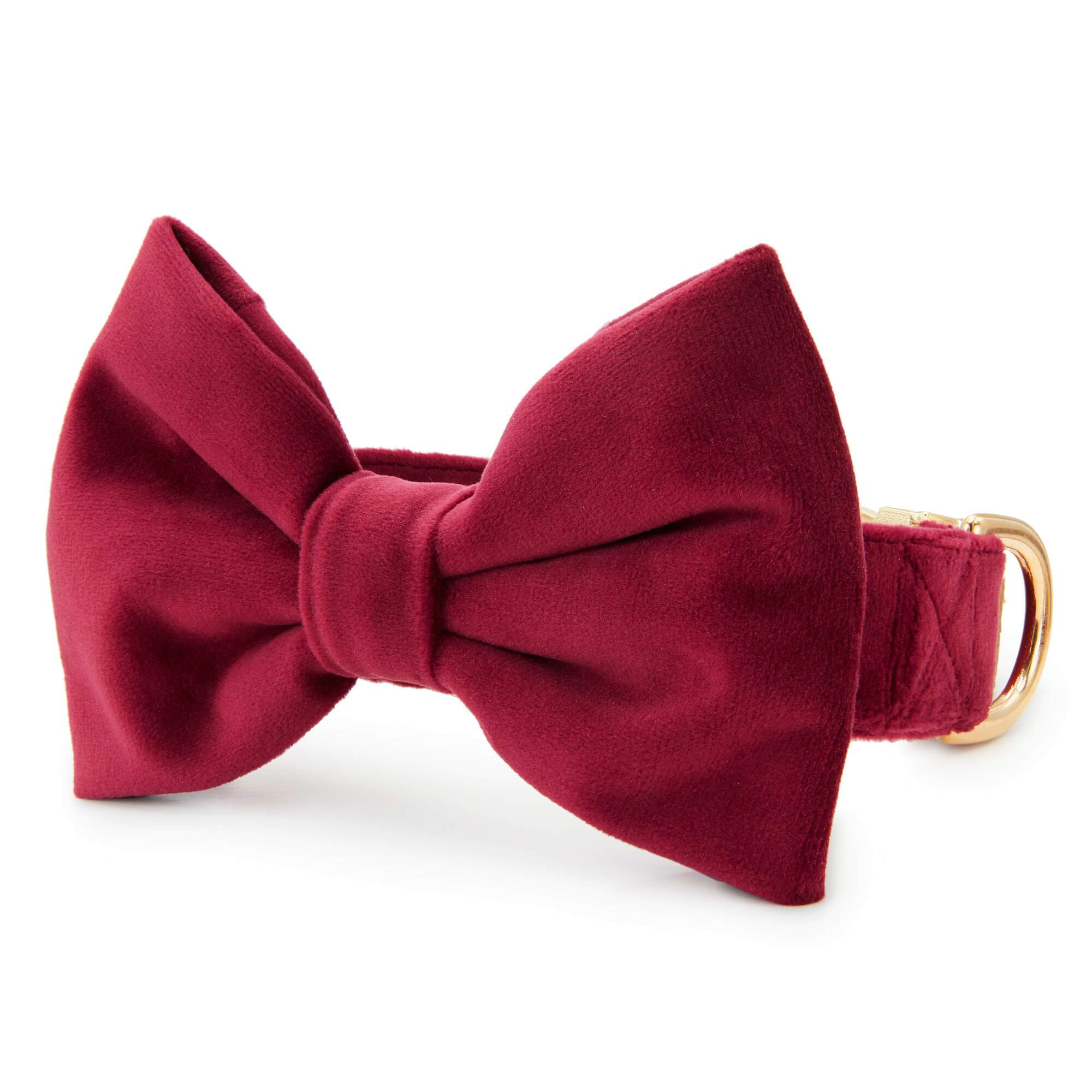 The Foggy Dog Burgundy Velvet Bow Tie Collar
