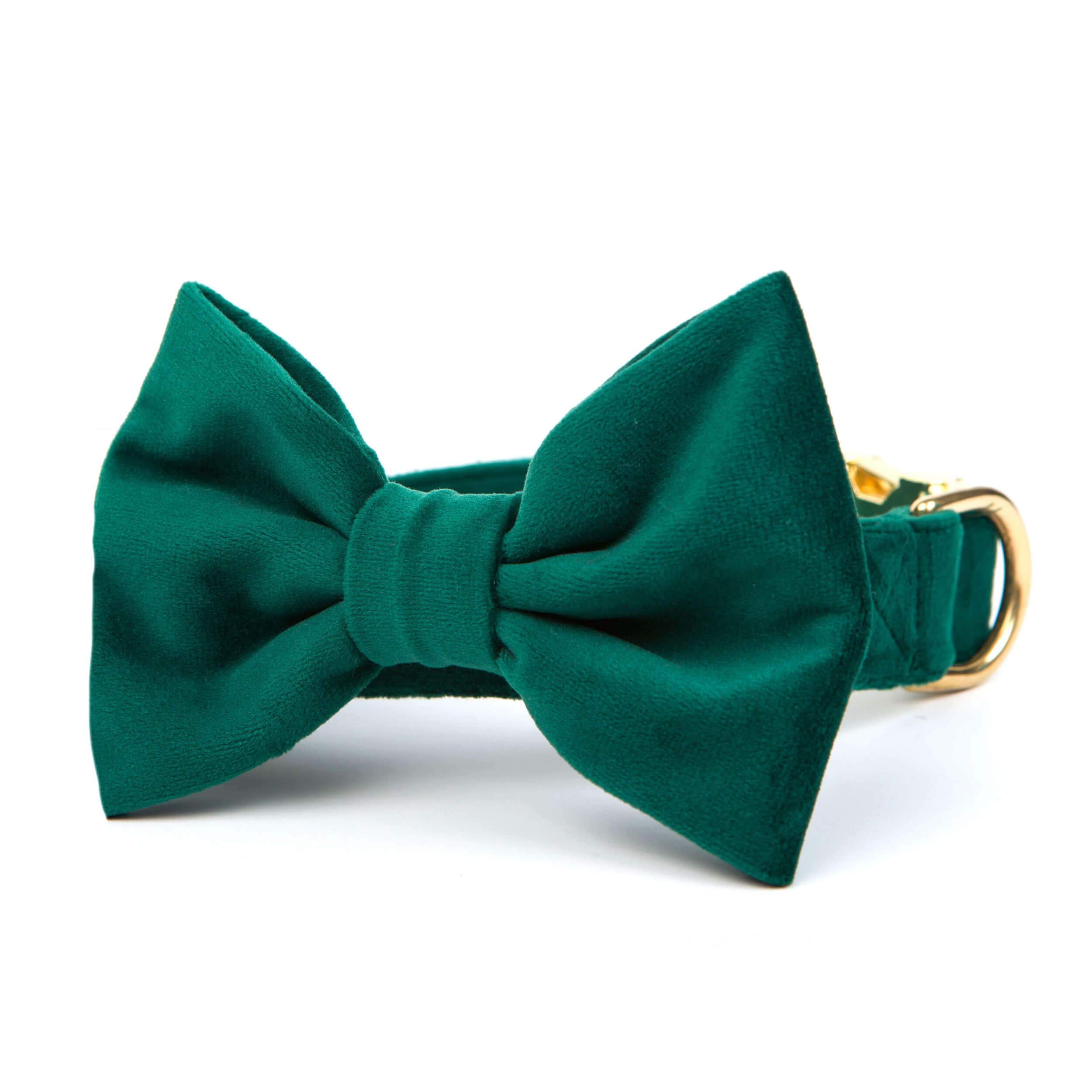 The Foggy Dog Forest Green Velvet Bow Tie Collar