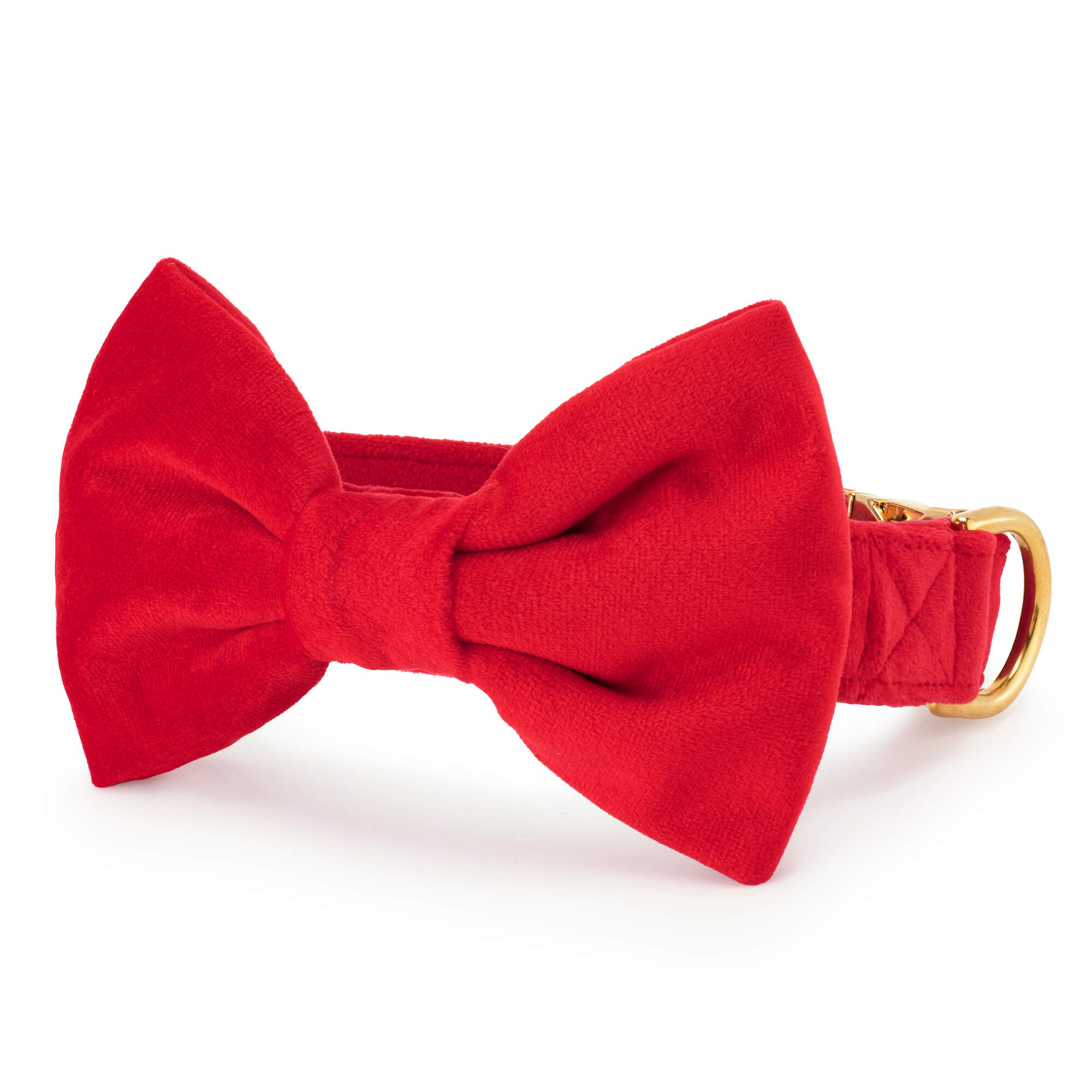 The Foggy Dog Cranberry Velvet Bow Tie Collar