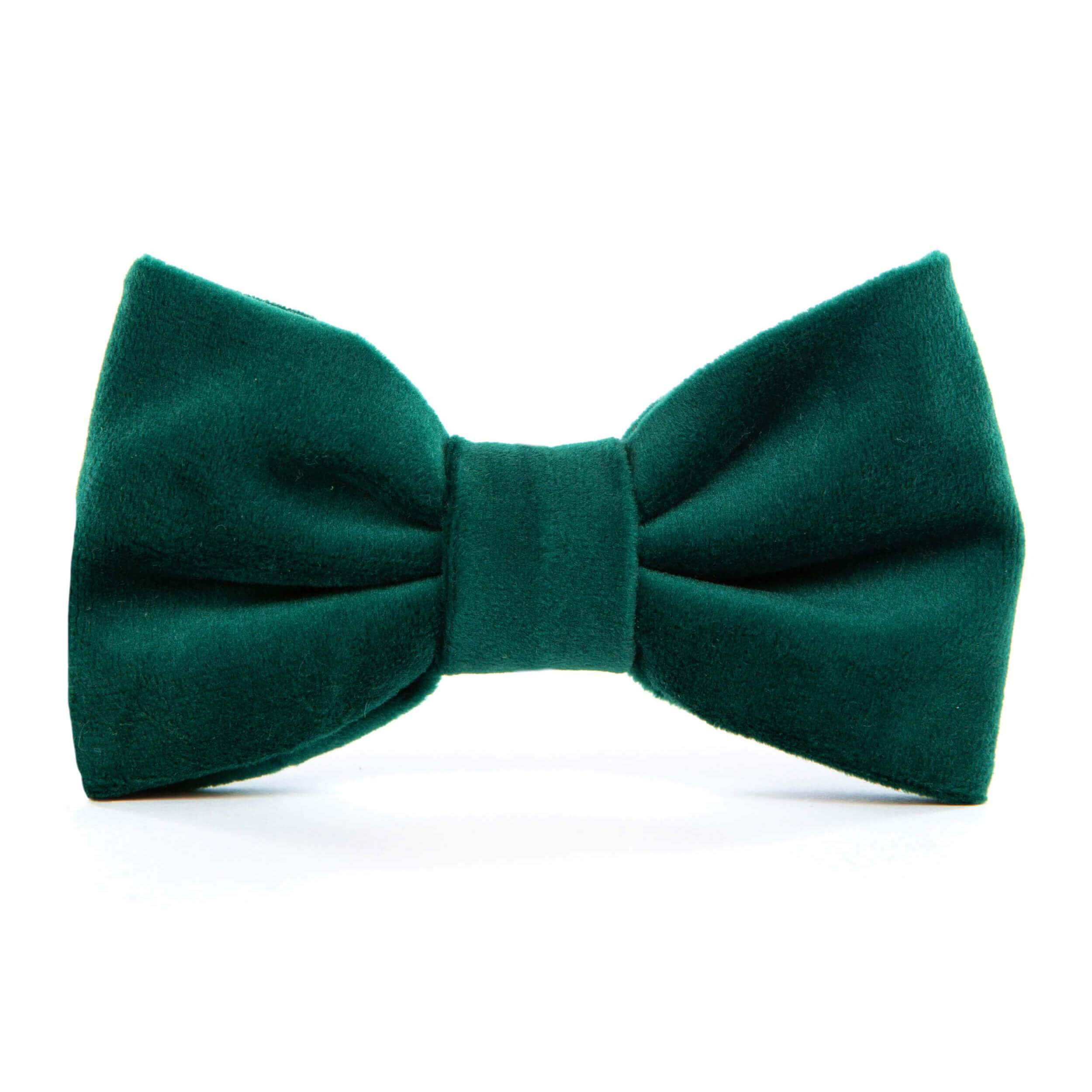 The Foggy Dog Forest Green Velvet Dog Bow Tie