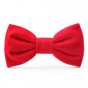 The Foggy Dog Cranberry Velvet Dog Bow Tie
