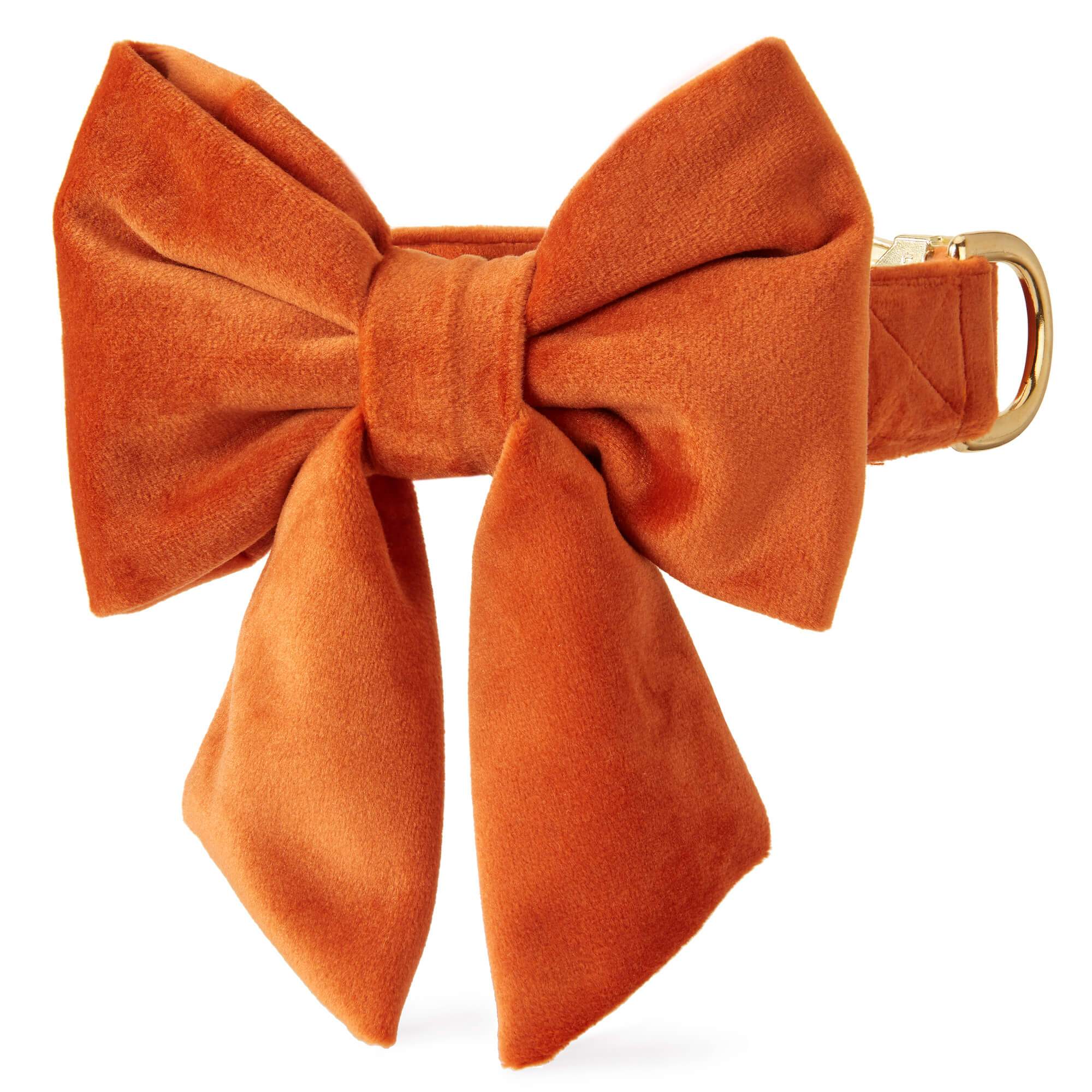 The Foggy Dog Pumpkin Velvet Lady Bow Collar