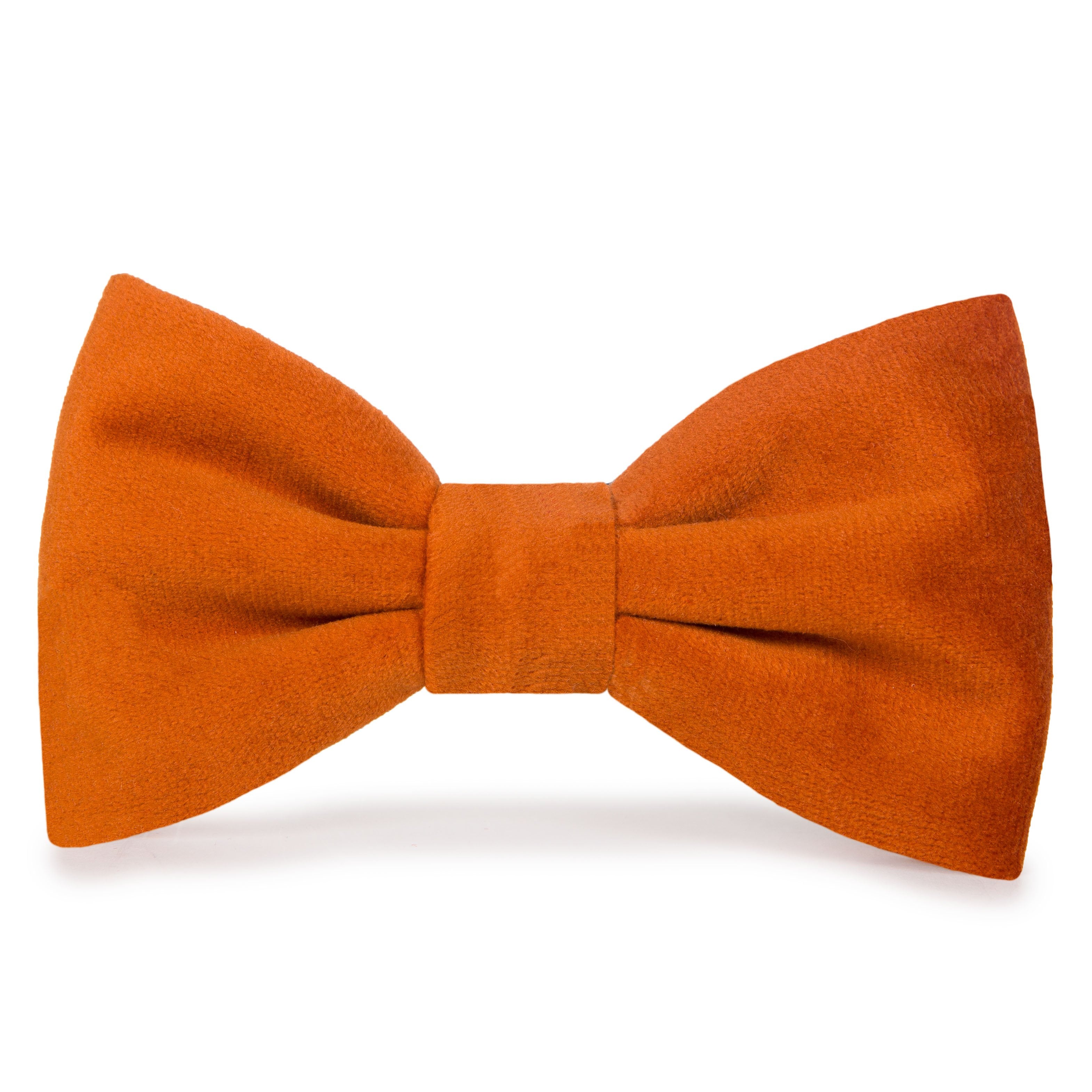The Foggy Dog Pumpkin Velvet Dog Bow Tie