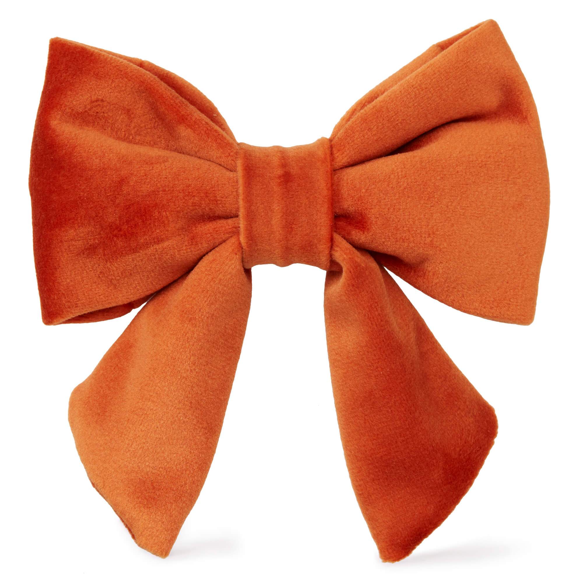 The Foggy Dog Pumpkin Velvet Lady Dog Bow