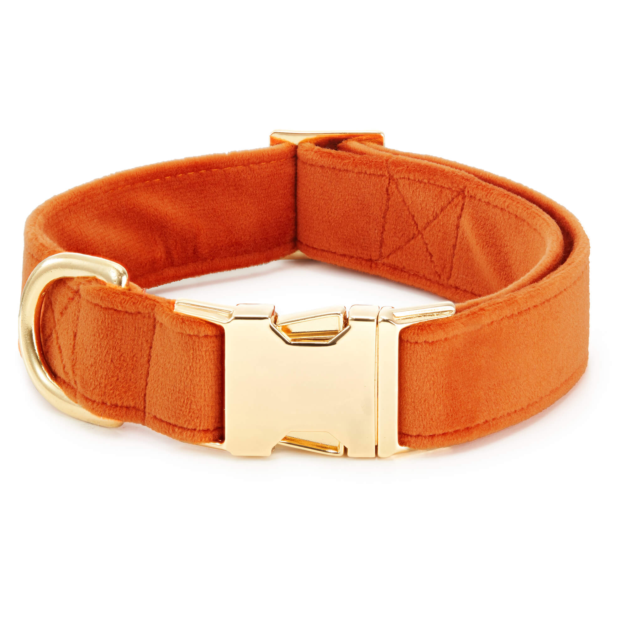 The Foggy Dog Pumpkin Velvet Dog Collar