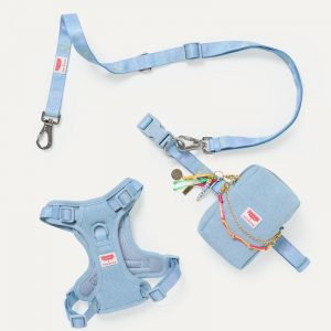 Max Bone Stranger Things x maxbone Walk Set
