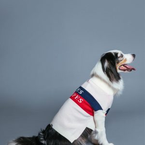 Max Bone Les Alpes Jumper