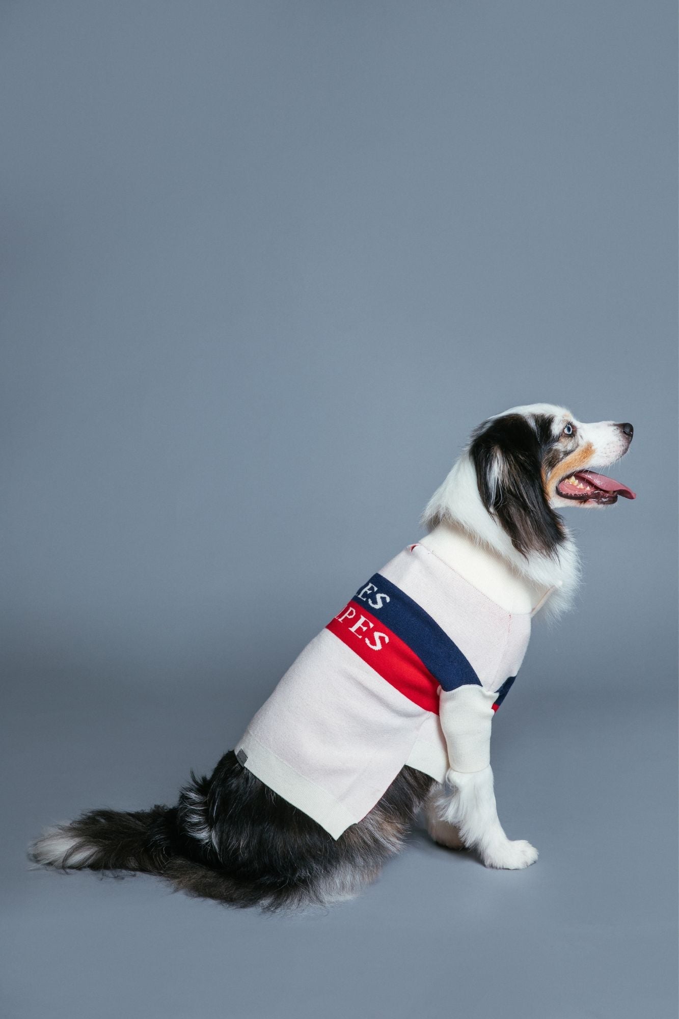 Max Bone Les Alpes Jumper