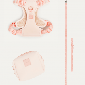 Max Bone Mini Go! With Ease Bundle
