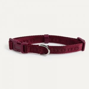 Max Bone Signature Collar