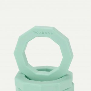 Max Bone Decagon Rubber Toy