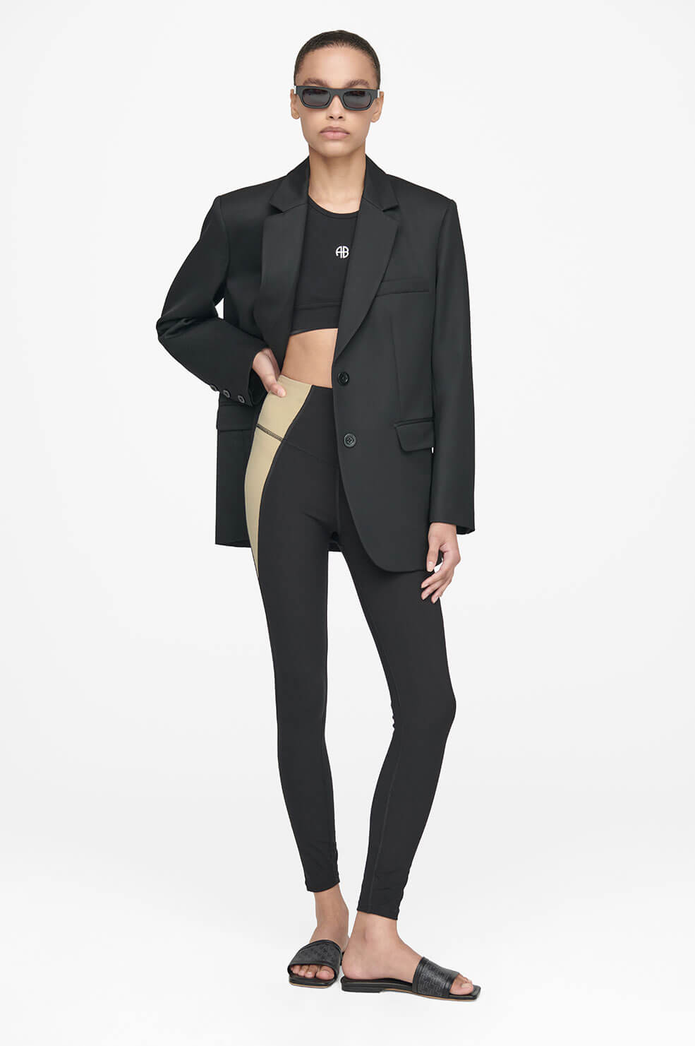 Anine Bing Blake Legging - Black And Tan
