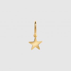 Anine Bing Star Charm Hoop Earring - 14k Gold