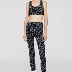 Anine Bing Blake Legging - Zebra Print