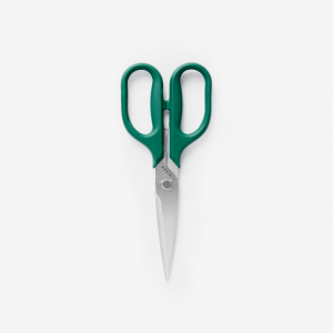 Misen Kitchen Shears - Standard - Green