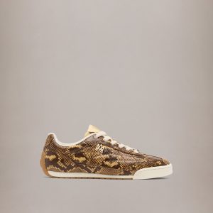 Amiri WOMEN - WOMEN'S PYTHON EMBOSSED COASTLINE - Brown