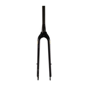 Aventon Fork