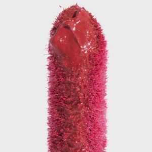 Rouje Le Velours Camille