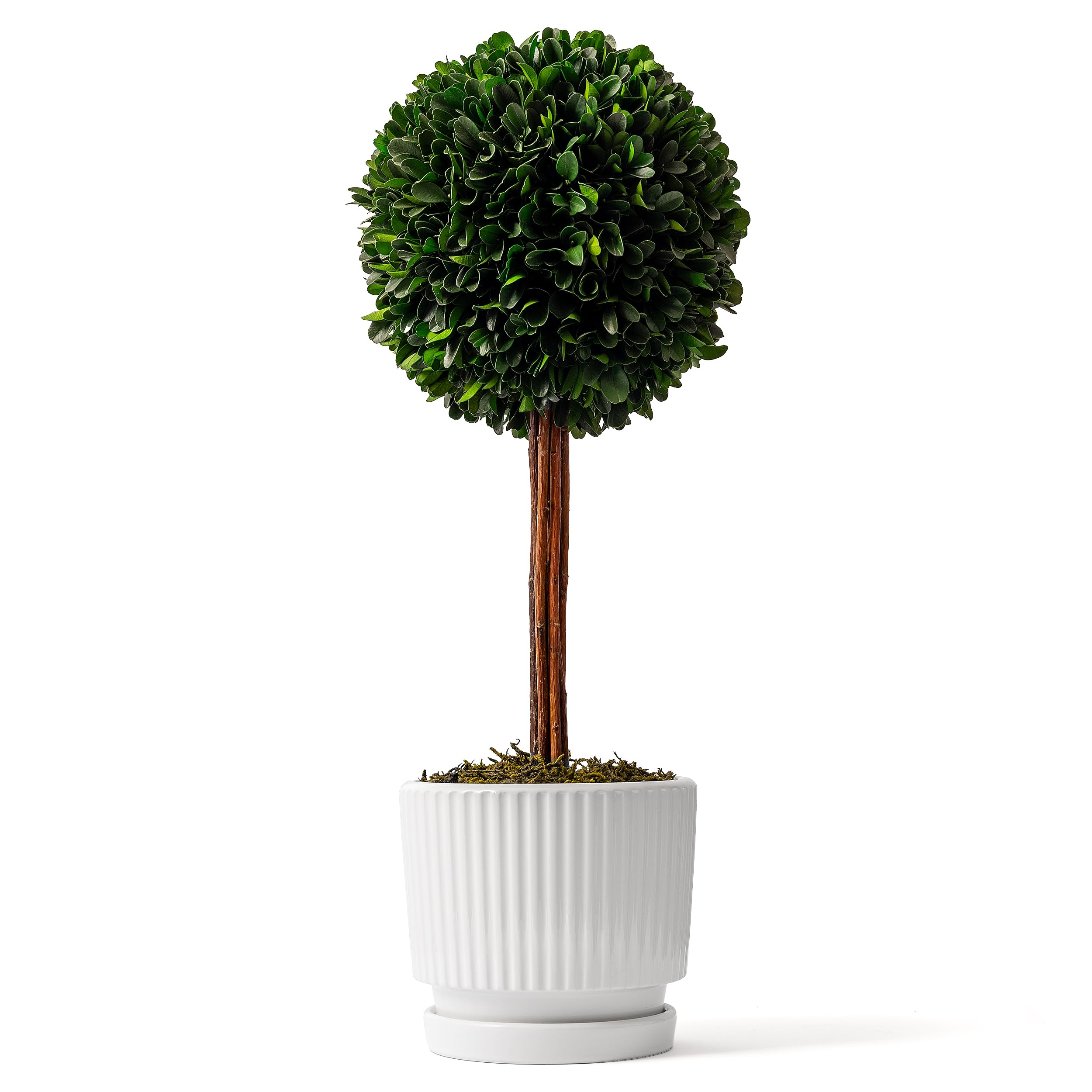Woodronic 20-Inch Faux Boxwood Topiary Ball for Indoor & Outdoor Decor