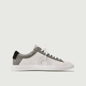 Olivercabell Low 1 | Stingray