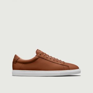 Olivercabell Low 1 | Lion (Orthopedic)