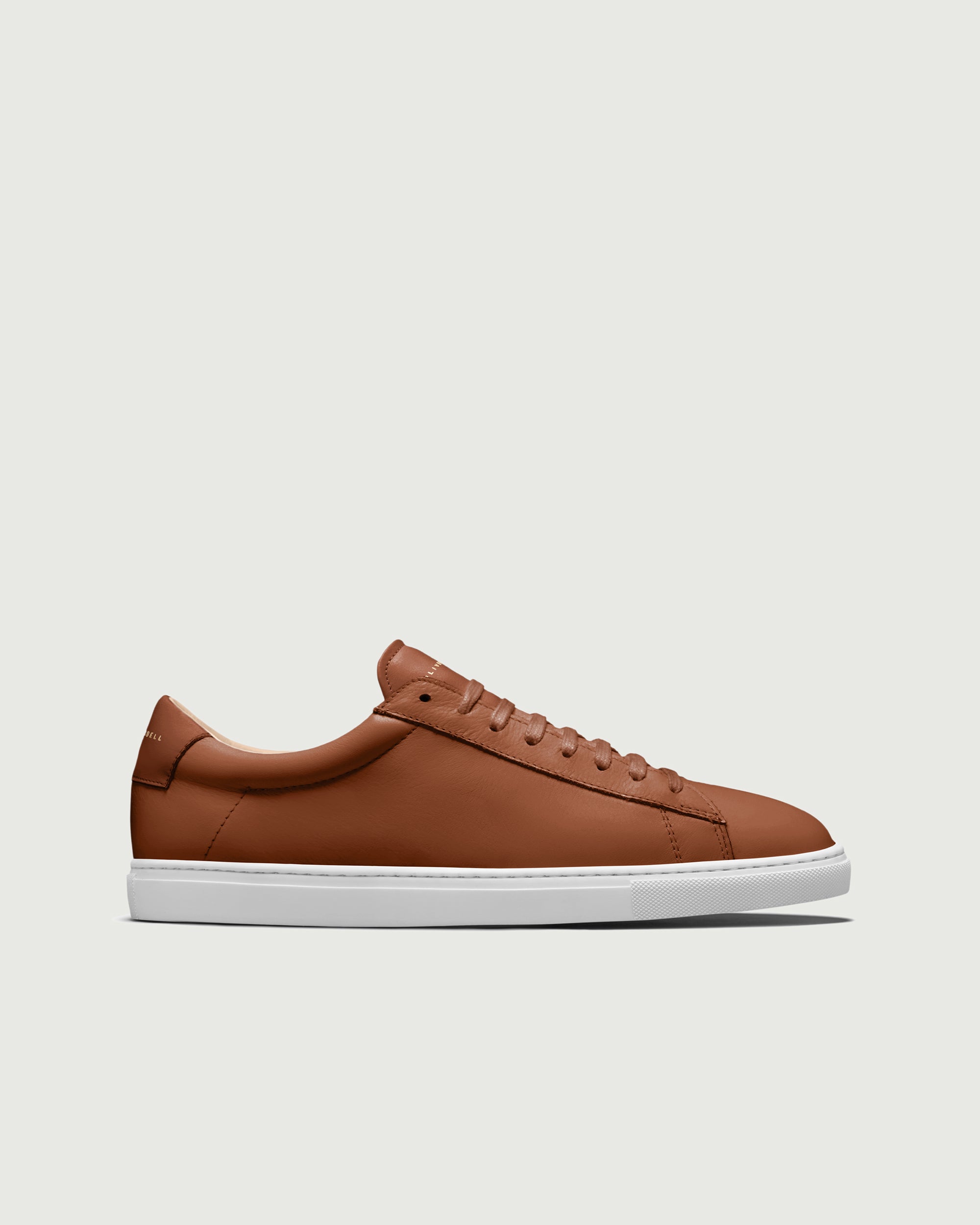 Olivercabell Low 1 | Lion (Orthopedic)