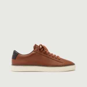 Olivercabell Low 1 Pro | Walnut