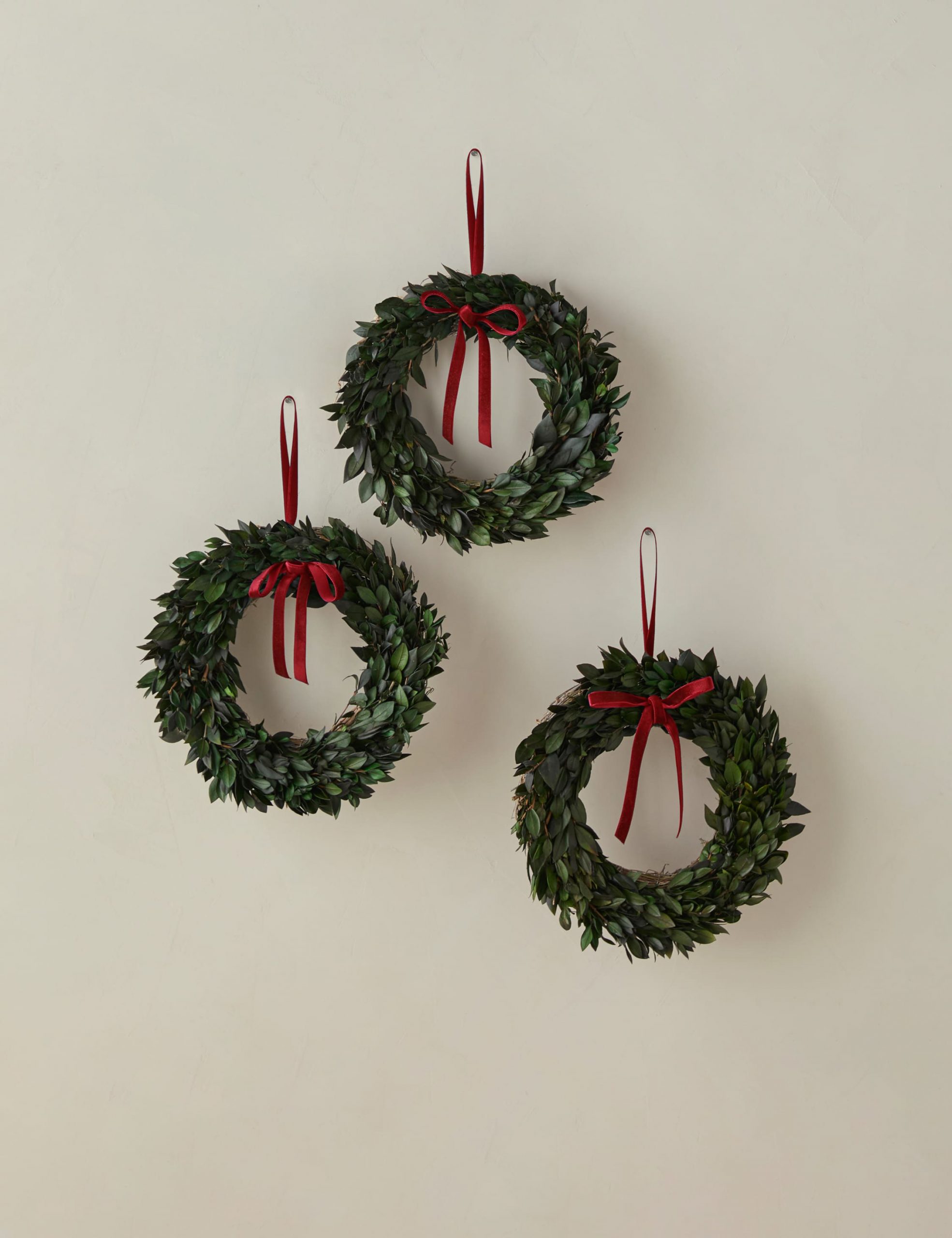 Lulu and Georgia Preserved Mini Myrtle Wreaths with Velvet Ribbon (Set of 3)