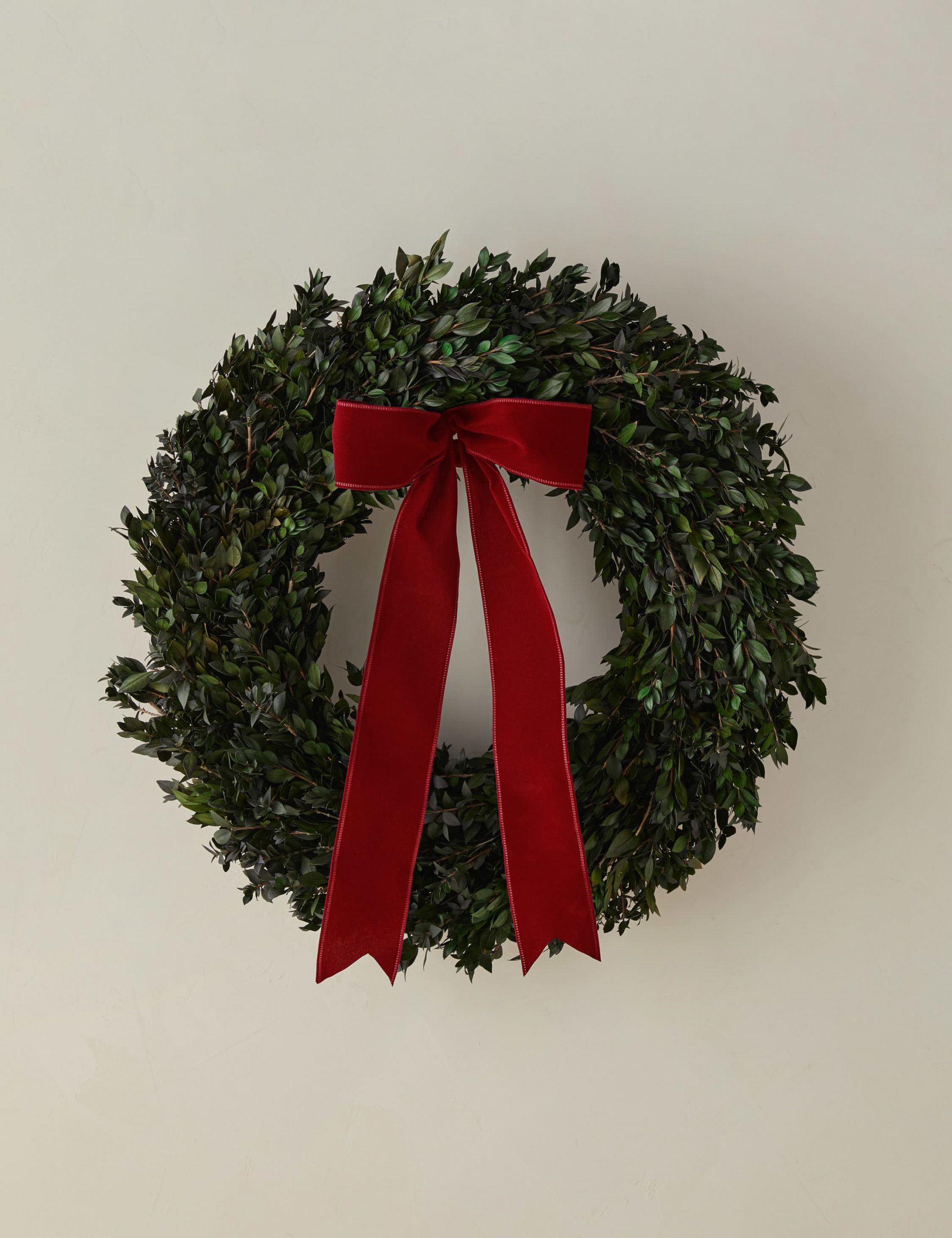 Lulu and Georgia Preserved Myrtle Wreath with Velvet Ribbon