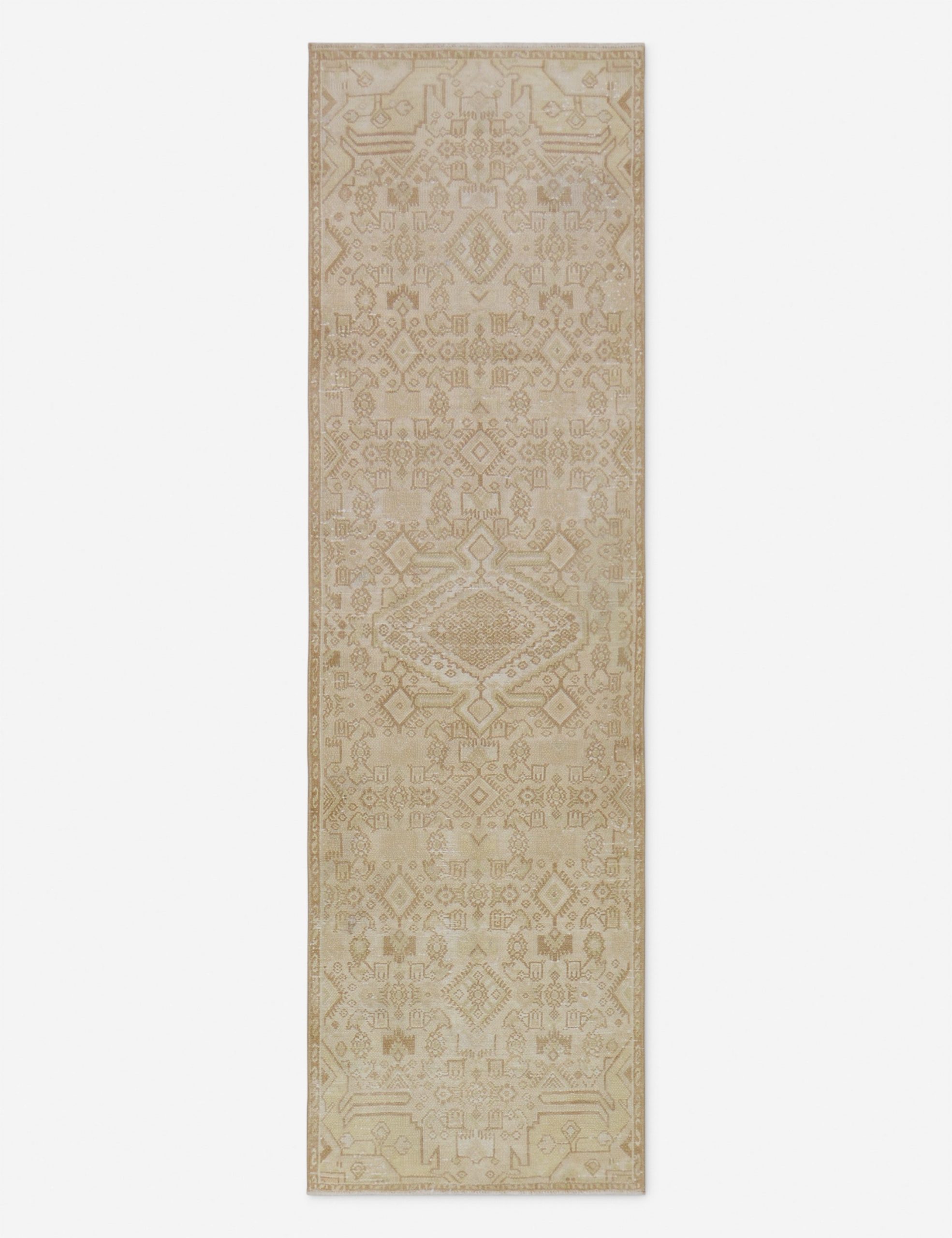 Lulu and Georgia Vintage Turkish Hand-Knotted Wool Runner Rug No. 262, 2'8" x 8'10"