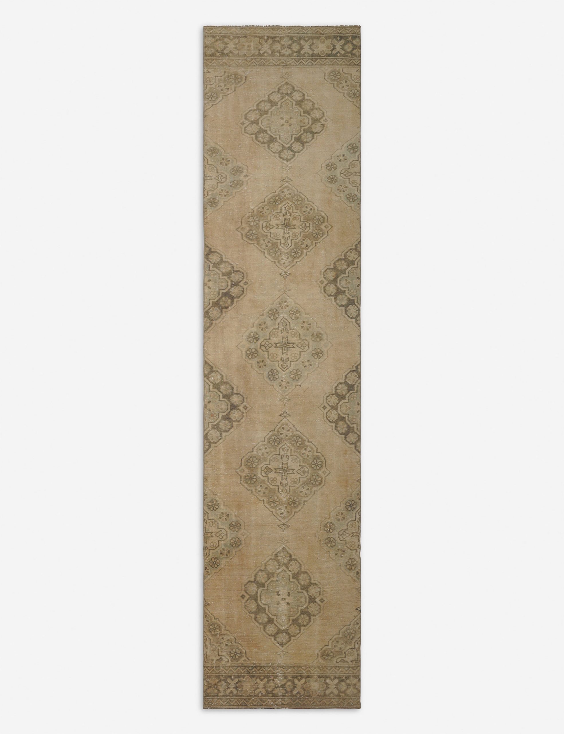 Lulu and Georgia Vintage Turkish Hand-Knotted Wool Runner Rug No. 217, 2'5" x 8'10"