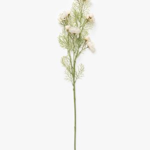 McGee & Co Cream Cosmos Stem
