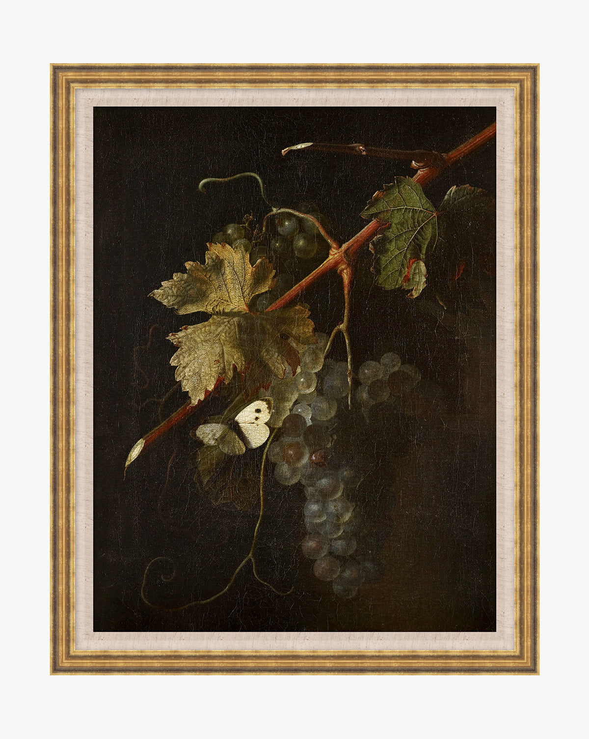 McGee & Co Stillness of the Vine